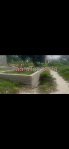 Kiwanja Inauzwa 400 Metres Kutoka Barabara Kuu - 3/6