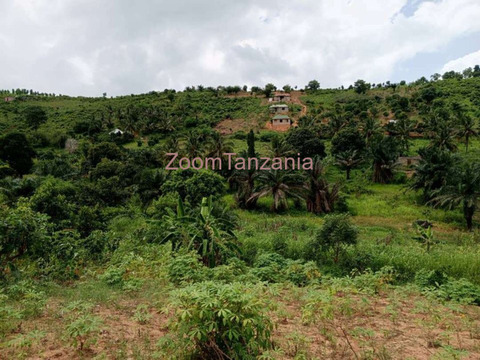 Kiwanja 2026 Inauzwa