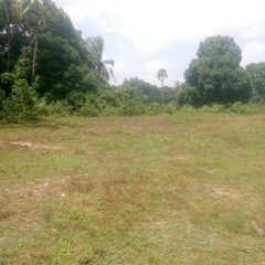 Kiwanja 415906.5 SQM Inauzwa Pangeni Zanzibar