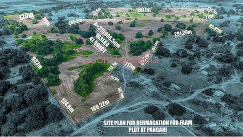 Kiwanja 415906.5 SQM Inauzwa Pangeni Zanzibar - 2/3