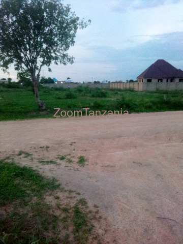 Land for Sale in Dodoma - 4/6
