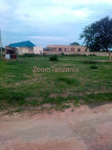 Land for Sale in Dodoma - 5/6
