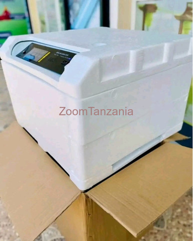 Modern Egg Incubator for Sale - 1/5