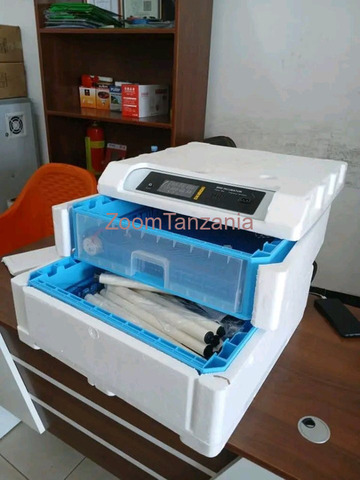 Modern Egg Incubator for Sale - 2/5