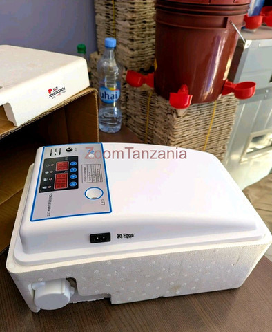 Modern Egg Incubator for Sale - 3/5