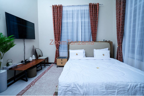 3 Bedroom Apartment For Rent In Dodoma - 2/6