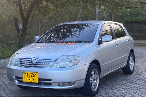 2002 Toyota Allex for Sale - 3/5