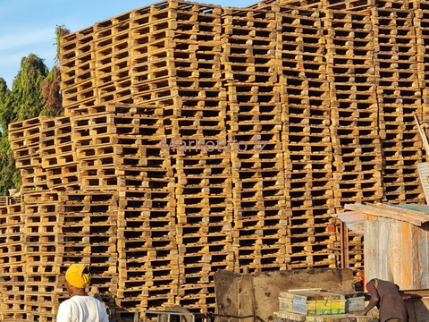 Wooden And Plastic Pallets For Sale - 6/6