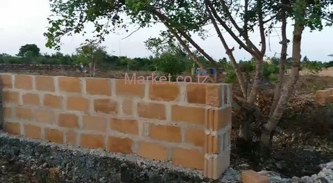 Land 1636 SQM in Jambiani for Sale - 4/4