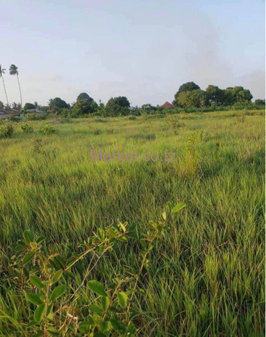 Land 50x40 SQM Vikindu for Sale