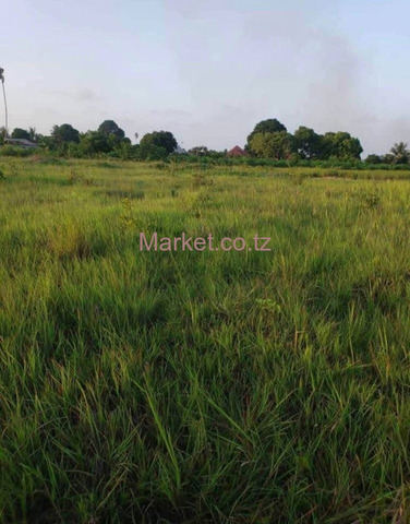 Land 50x40 SQM Vikindu for Sale - 2/2