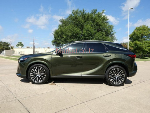 2023 Lexus RX 350 for Sale - 1/6