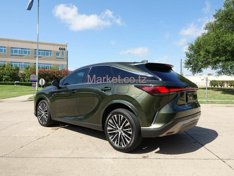 2023 Lexus RX 350 for Sale - 3/6