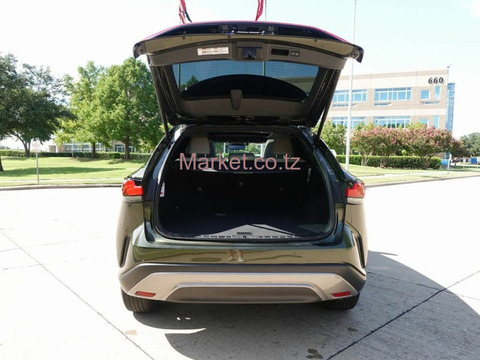 2023 Lexus RX 350 for Sale - 6/6
