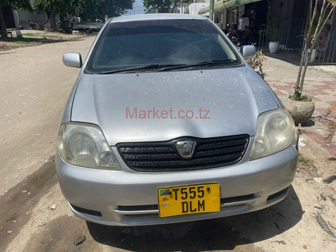 2004 Toyota Allex Silver for Sale - 1/5