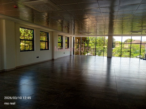 Office Space 200 SQM for Rent in Masaki - 2/3