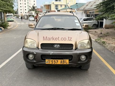 2008 Hyundai Santa Fe Gold for Sale - 1/6
