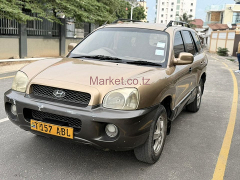 2008 Hyundai Santa Fe Gold for Sale - 4/6