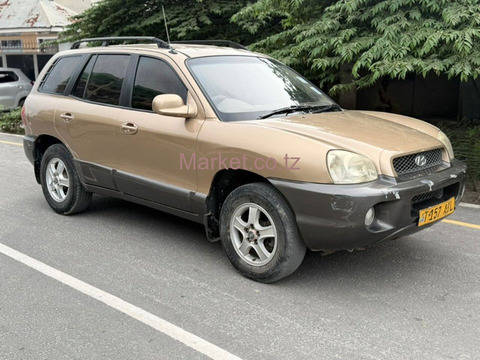2008 Hyundai Santa Fe Gold for Sale - 5/6