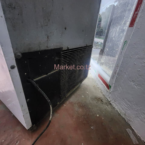 SAB Miller Commercial Display Fridge 300L for Sale - 6/6