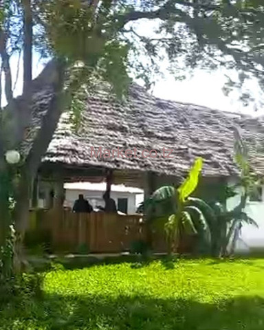 48 Acres Beach Plot In Michamvi For Sale - 3/6