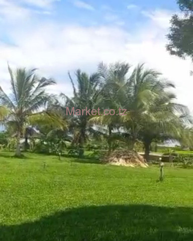 48 Acres Beach Plot In Michamvi For Sale - 6/6