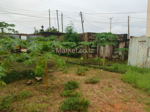 Land 2000 SQM Salasala for Sale