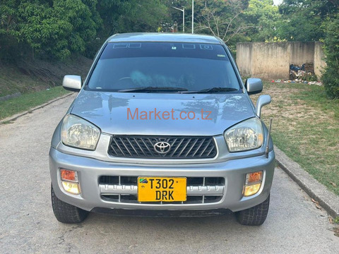 2002 Toyota Rav4 Silver for Sale - 1/6