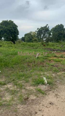 Plot SQM 400 for Sale - 2/5