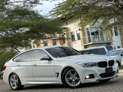 2015 BMW 3 Series GT Pearl White for Sale - 3/6