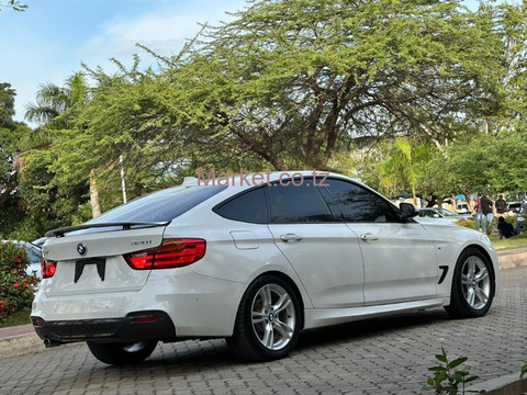 2015 BMW 3 Series GT Pearl White for Sale - 6/6