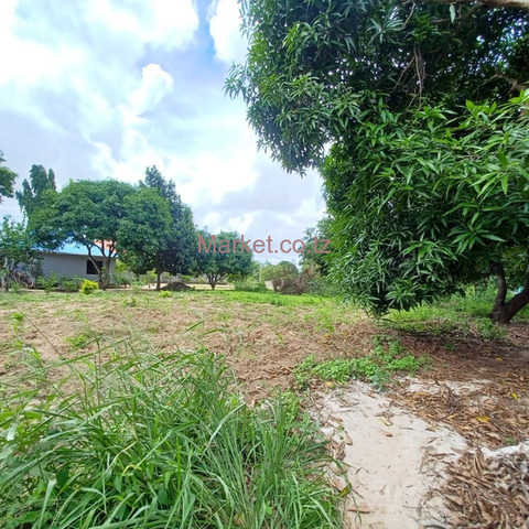 1750 SQM Plot for Sale in Kimara - 2/3