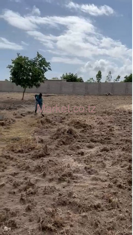 Plot for Sale in Mapinga Madiba sq 3200 - 3/5