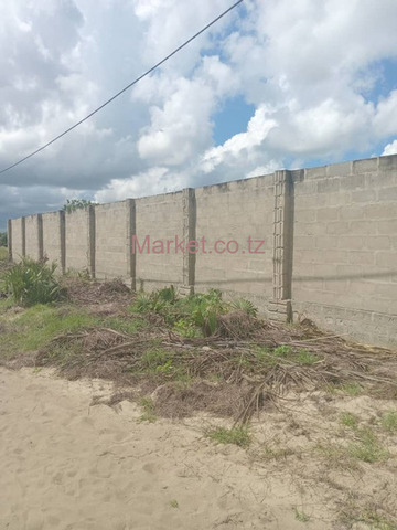 Plot for Sale in Mapinga Madiba sq 3200 - 5/5