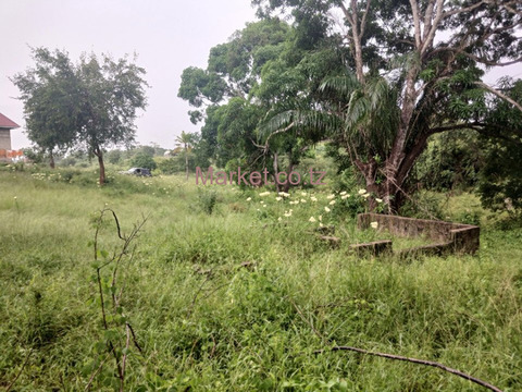 Plot 930SQM for Sale in Mbezi Luguruni - 2/4