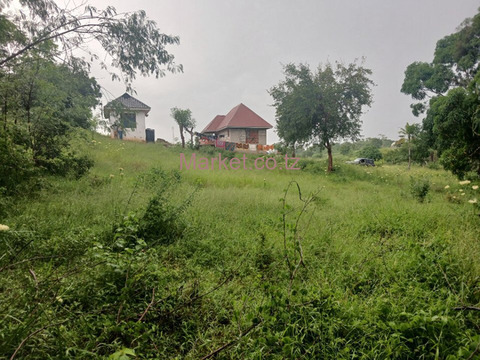 Plot 930SQM for Sale in Mbezi Luguruni - 3/4