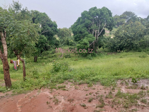 Plot 930SQM for Sale in Mbezi Luguruni - 4/4
