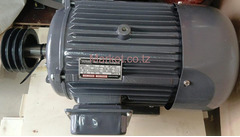 Skymark Induction Motor 30hp for Sale