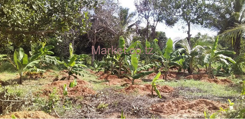 41 Acres Land for Sale in Mkuranga - 2/3