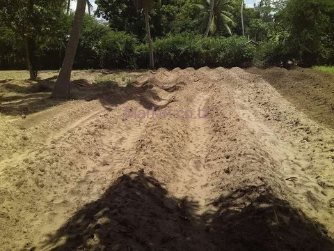 41 Acres Land for Sale in Mkuranga - 3/3