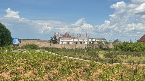 27 Plots for Sale in Mwanza - Kisesa - 3/6