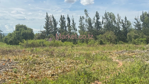 27 Plots for Sale in Mwanza - Kisesa - 4/6