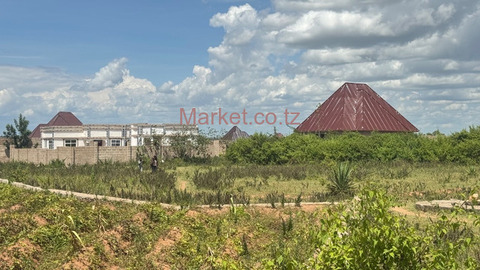 27 Plots for Sale in Mwanza - Kisesa - 5/6