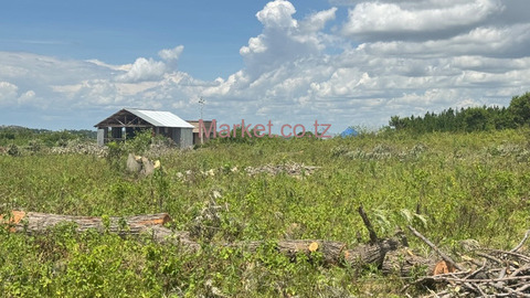 27 Plots for Sale in Mwanza - Kisesa - 6/6