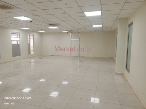 Office Space 380 SQM In Oyster Bay for Rent - 1/3