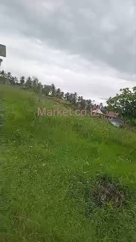 Plot For Sale 45M X 35M In Kigamboni - 2/5
