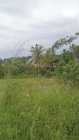Plot For Sale 45M X 35M In Kigamboni - 3/5