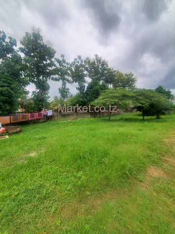 Plot 2400 SQM Madale Mivumoni for Sale - 4/4